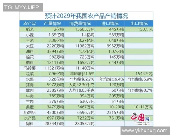 深圳篮球队的转型升级之路探索与未来展望